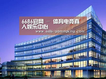 案例展示五