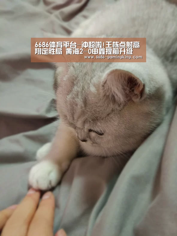 6686娱乐平台